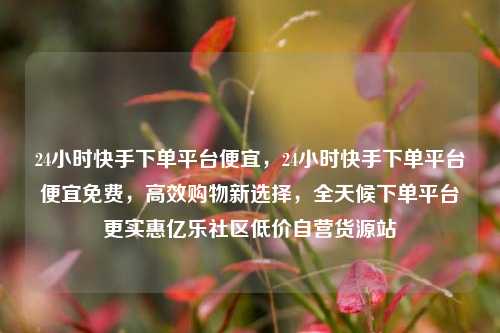 24小时快手下单平台便宜	，24小时快手下单平台便宜免费，高效购物新选择，全天候下单平台更实惠亿乐社区低价自营货源站  第1张
