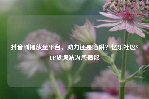 抖音刷播放量平台，助力还是陷阱？亿乐社区SUP货源站为您揭秘  第1张