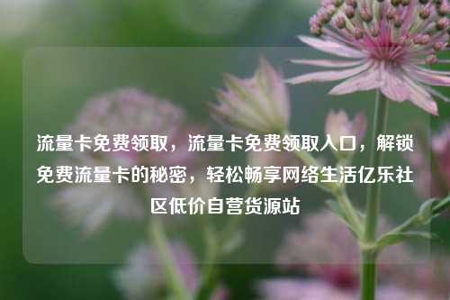 流量卡免费领取，流量卡免费领取入口，解锁免费流量卡的秘密	，轻松畅享网络生活亿乐社区低价自营货源站  第1张