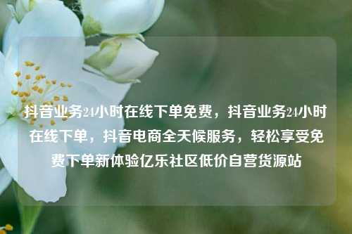 抖音业务24小时在线下单免费，抖音业务24小时在线下单	，抖音电商全天候服务，轻松享受免费下单新体验亿乐社区低价自营货源站  第1张