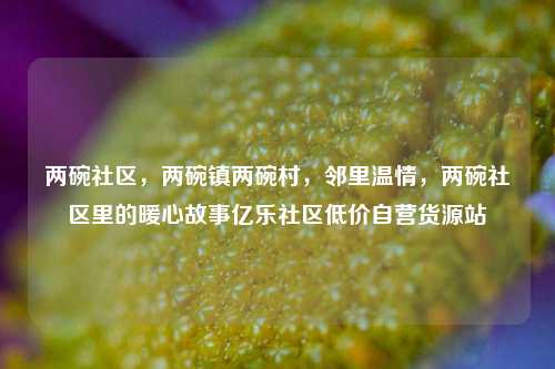 两碗社区	，两碗镇两碗村，邻里温情，两碗社区里的暖心故事亿乐社区低价自营货源站  第1张