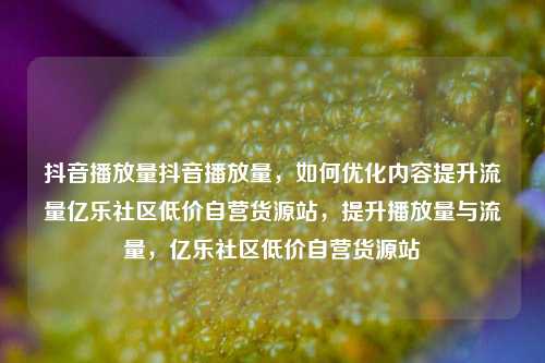 抖音播放量抖音播放量，如何优化内容提升流量亿乐社区低价自营货源站	，提升播放量与流量，亿乐社区低价自营货源站  第1张