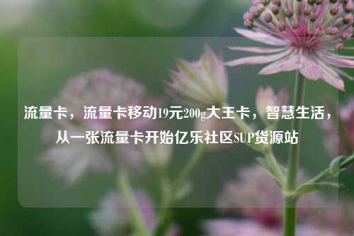 流量卡	，流量卡移动19元200g大王卡，智慧生活，从一张流量卡开始亿乐社区SUP货源站  第1张