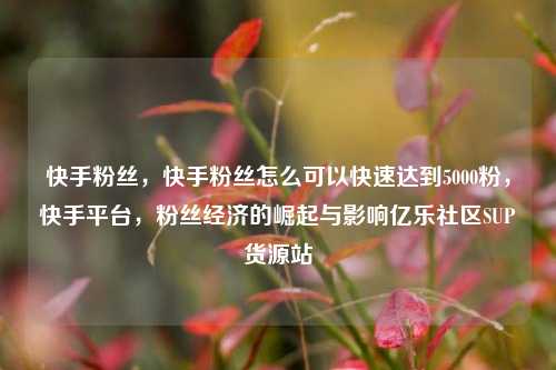 快手粉丝	，快手粉丝怎么可以快速达到5000粉，快手平台，粉丝经济的崛起与影响亿乐社区SUP货源站  第1张