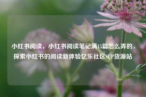 小红书阅读，小红书阅读笔记满15篇怎么弄的，探索小红书的阅读新体验亿乐社区SUP货源站  第1张