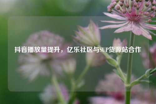抖音播放量提升，亿乐社区与SUP货源站合作  第1张