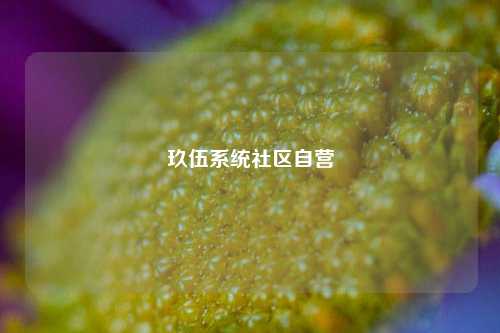 玖伍系统社区自营  第1张