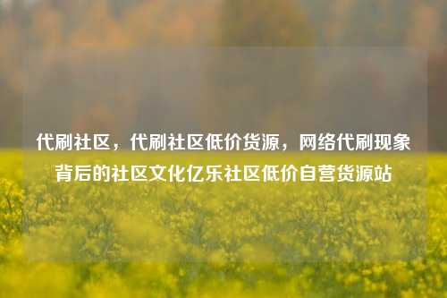 代刷社区	，代刷社区低价货源，网络代刷现象背后的社区文化亿乐社区低价自营货源站  第1张