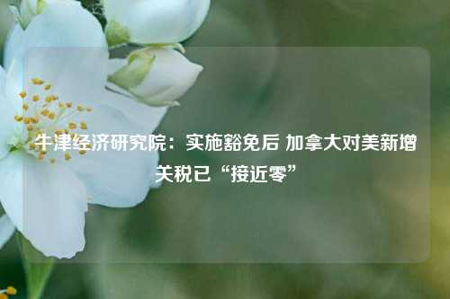 牛津经济研究院：实施豁免后 加拿大对美新增关税已“接近零”  第1张