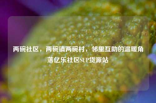 两碗社区，两碗镇两碗村	，邻里互助的温暖角落亿乐社区SUP货源站  第1张