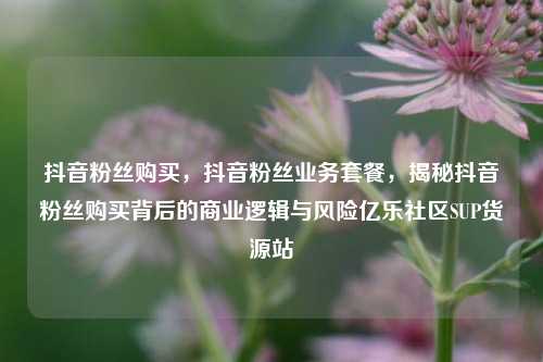 抖音粉丝购买	，抖音粉丝业务套餐，揭秘抖音粉丝购买背后的商业逻辑与风险亿乐社区SUP货源站  第1张