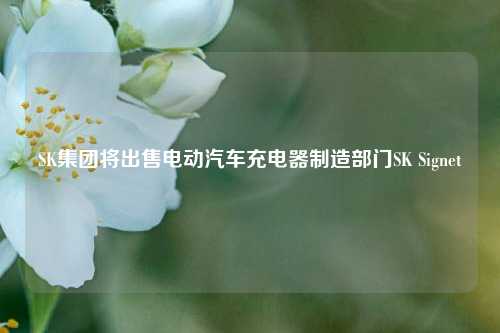 SK集团将出售电动汽车充电器制造部门SK Signet  第1张