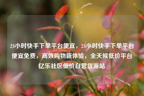 24小时快手下单平台便宜	，24小时快手下单平台便宜免费，高效购物新体验，全天候低价平台亿乐社区低价自营货源站  第1张