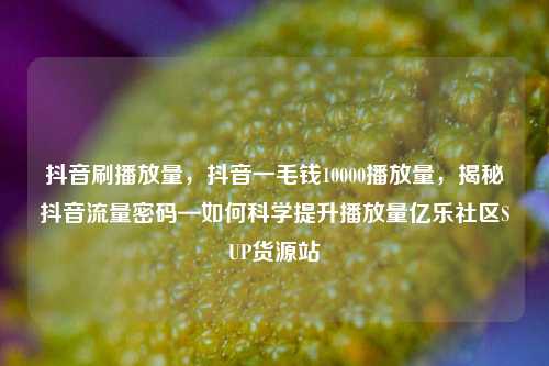 抖音刷播放量，抖音一毛钱10000播放量	，揭秘抖音流量密码—如何科学提升播放量亿乐社区SUP货源站  第1张