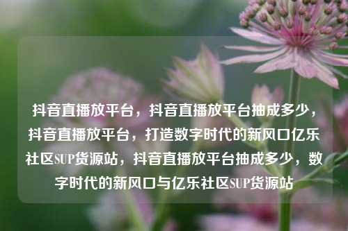 抖音直播放平台	，抖音直播放平台抽成多少，抖音直播放平台，打造数字时代的新风口亿乐社区SUP货源站，抖音直播放平台抽成多少	，数字时代的新风口与亿乐社区SUP货源站  第1张
