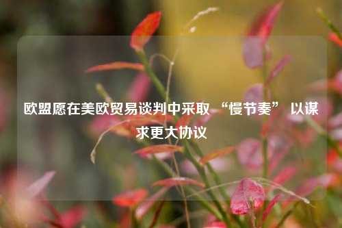 欧盟愿在美欧贸易谈判中采取 “慢节奏	” 以谋求更大协议  第1张