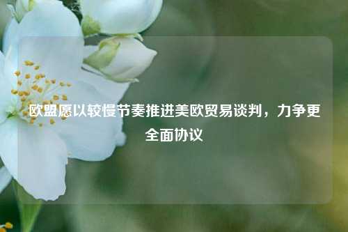 欧盟愿以较慢节奏推进美欧贸易谈判，力争更全面协议  第1张