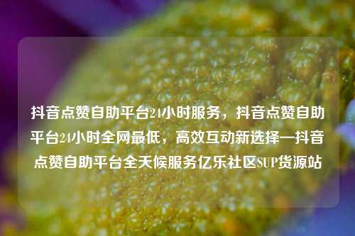 抖音点赞自助平台24小时服务，抖音点赞自助平台24小时全网最低，高效互动新选择—抖音点赞自助平台全天候服务亿乐社区SUP货源站  第1张