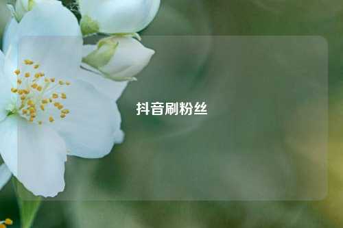 抖音刷粉丝  第1张