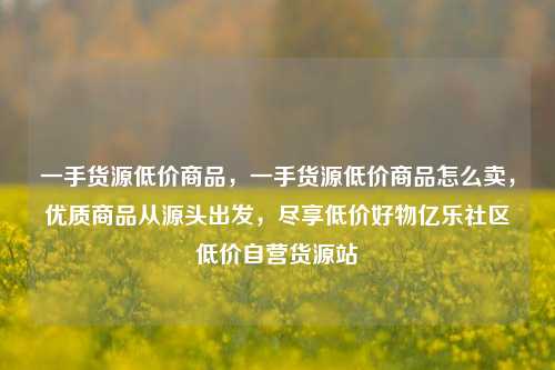 一手货源低价商品，一手货源低价商品怎么卖，优质商品从源头出发，尽享低价好物亿乐社区低价自营货源站  第1张
