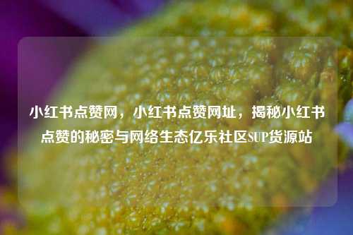 小红书点赞网，小红书点赞网址，揭秘小红书点赞的秘密与网络生态亿乐社区SUP货源站  第1张