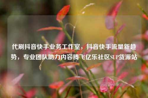 代刷抖音快手业务工作室，抖音快手流量新趋势	，专业团队助力内容腾飞亿乐社区SUP货源站  第1张