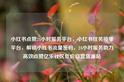 小红书点赞24小时服务平台，小红书任务接单平台，解锁小红书流量密码	，24小时服务助力高效点赞亿乐社区低价自营货源站  第1张