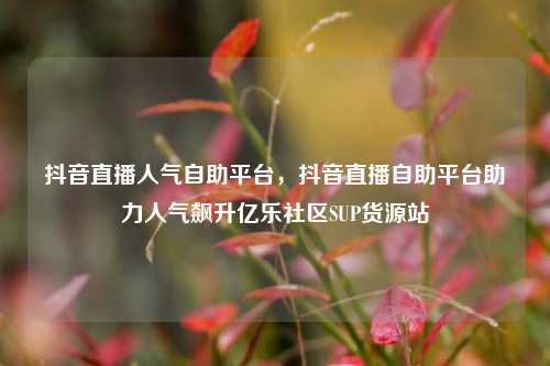 抖音直播人气自助平台，抖音直播自助平台助力人气飙升亿乐社区SUP货源站  第1张