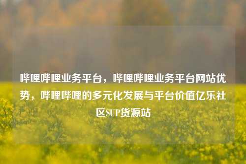 哔哩哔哩业务平台，哔哩哔哩业务平台网站优势，哔哩哔哩的多元化发展与平台价值亿乐社区SUP货源站  第1张