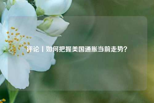 评论丨如何把握美国通胀当前走势？  第1张