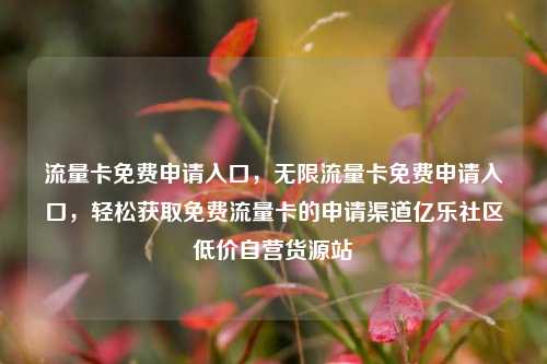 流量卡免费申请入口，无限流量卡免费申请入口	，轻松获取免费流量卡的申请渠道亿乐社区低价自营货源站  第1张
