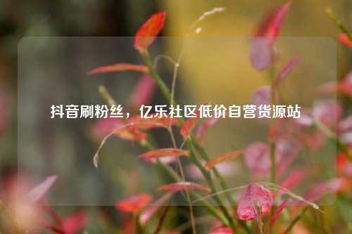 抖音刷粉丝，亿乐社区低价自营货源站  第1张