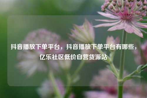 抖音播放下单平台	，抖音播放下单平台有哪些，亿乐社区低价自营货源站  第1张