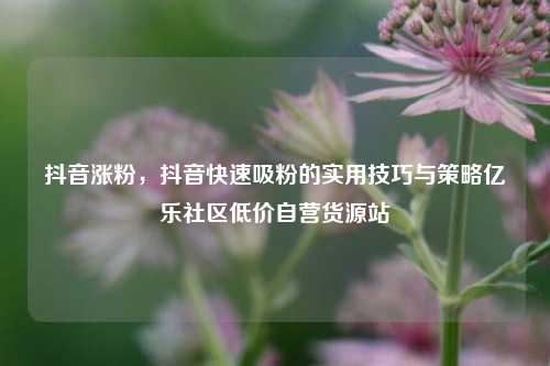 抖音涨粉，抖音快速吸粉的实用技巧与策略亿乐社区低价自营货源站  第1张