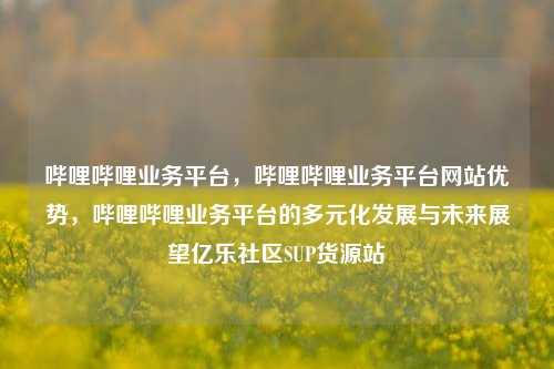 哔哩哔哩业务平台	，哔哩哔哩业务平台网站优势，哔哩哔哩业务平台的多元化发展与未来展望亿乐社区SUP货源站  第1张