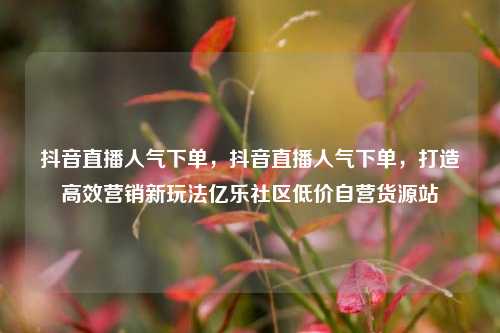 抖音直播人气下单，抖音直播人气下单	，打造高效营销新玩法亿乐社区低价自营货源站  第1张