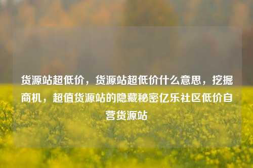 货源站超低价，货源站超低价什么意思，挖掘商机	，超值货源站的隐藏秘密亿乐社区低价自营货源站  第1张