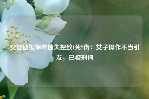 交警通报保时捷失控致1死2伤：女子操作不当引发，已被刑拘  第1张