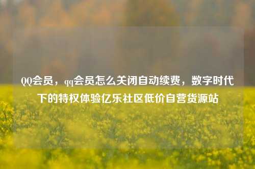 QQ会员，qq会员怎么关闭自动续费	，数字时代下的特权体验亿乐社区低价自营货源站  第1张