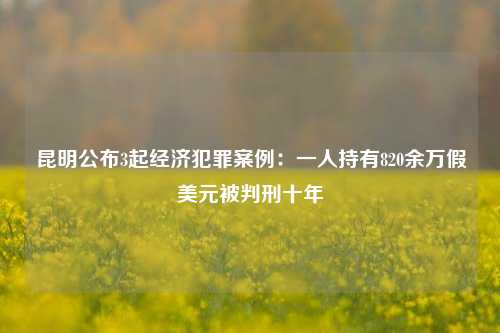 昆明公布3起经济犯罪案例：一人持有820余万假美元被判刑十年  第1张