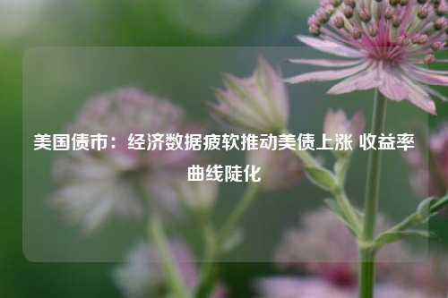 美国债市：经济数据疲软推动美债上涨 收益率曲线陡化  第1张