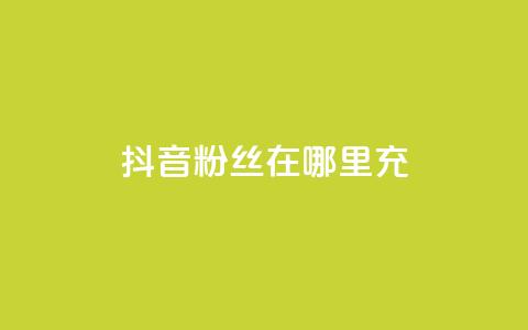 抖音粉丝在哪里充 - 如何在抖音平台给粉丝充值的详细指南!  第1张