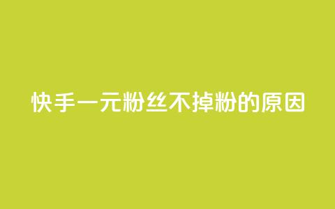 快手一元1w粉丝不掉粉的原因,Ks24小时秒单业务平台 - 卡盟自营 快手1元1000千粉丝活粉丝是真的吗  第1张