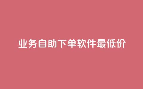 ks业务自助下单软件最低价,低价qq空间访客 - 低价卡盟平台 发卡网自动发卡平台  第1张
