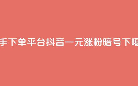 快手下单平台 - 抖音一元涨粉1000暗号  第1张