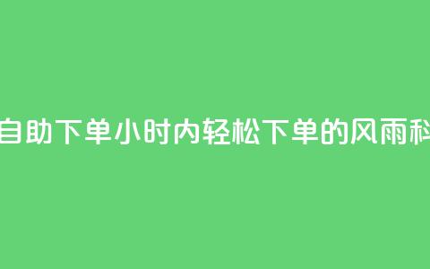 风雨科技24小时自助下单(24小时内轻松下单的风雨科技服务)  第1张