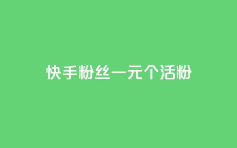 快手粉丝一元1000个活粉,快手评论点赞业务24小时下单平台 - QQ访客与浏览量的区别 ks全天自助下单微信支付  第1张