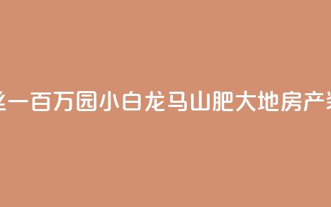 快手粉丝一百万0.01园小白龙马山肥大地房产装修网站,qq低价刷访客一天一万 - 1元刷快手亲密度 KS业务下单平台  第1张