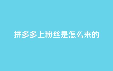 拼多多上粉丝是怎么来的,qq空间访客业务 - 拼多多转盘助力网站 拼多多怎么买人助力  第1张