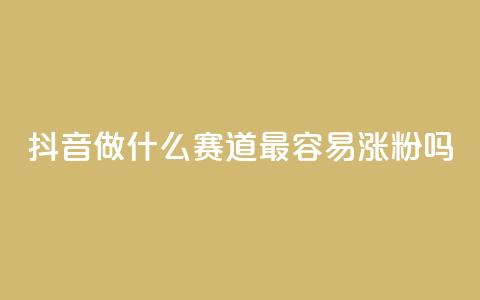 抖音做什么赛道最容易涨粉吗 - 抖音关注哪个领域最容易增加粉丝~  第1张